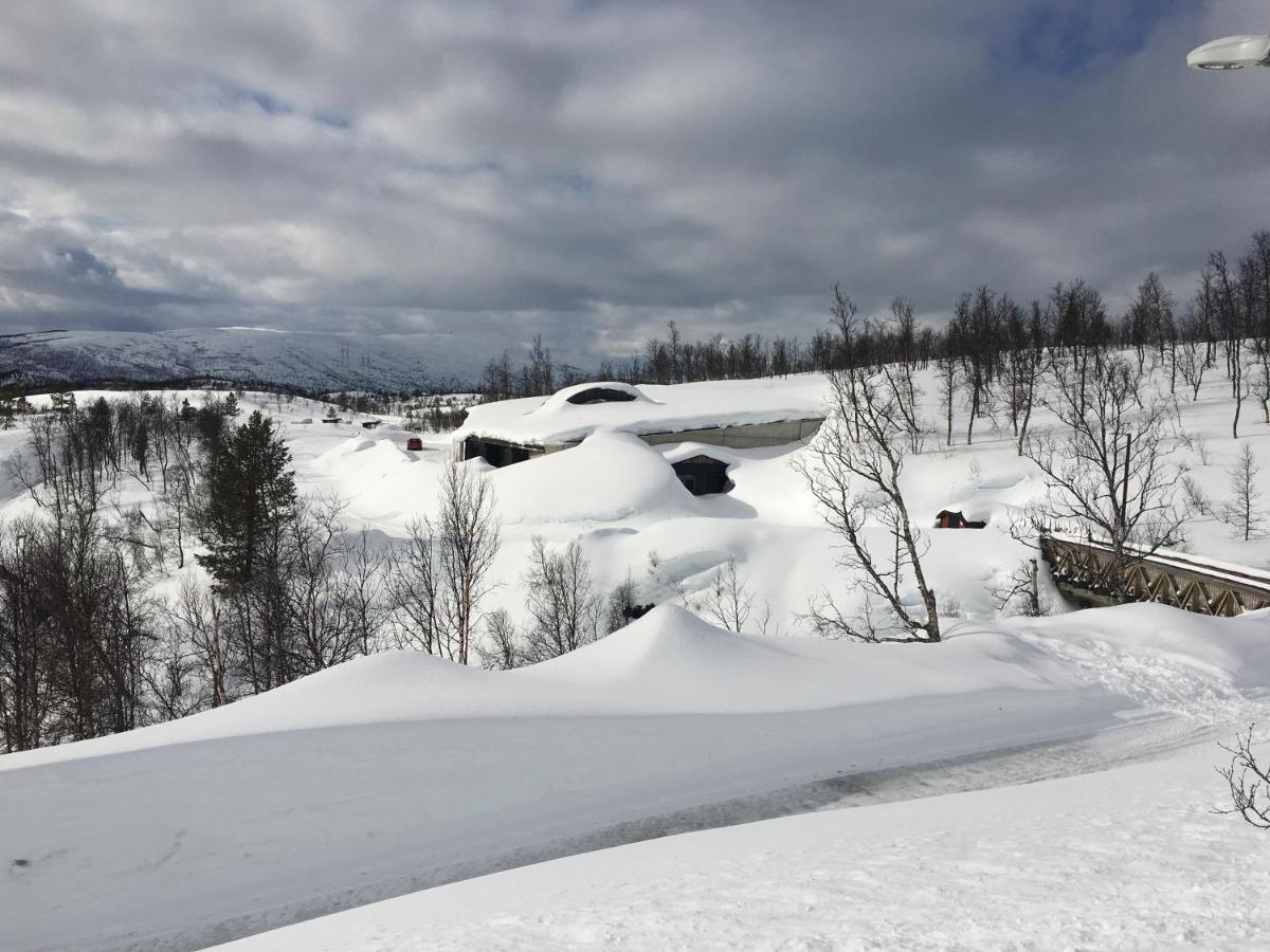 ホテル Basecamp Nord - Indoor Camping Moen i Målselv エクステリア 写真